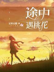 途中遇桃花封面