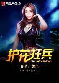 护花狂兵封面