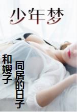 《王二柱林芳》列表封面