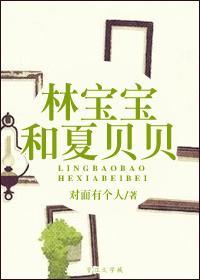 林宝宝和夏贝贝封面