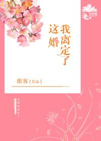 这婚我离定了封面