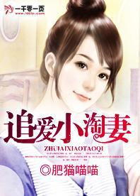 追爱小淘妻封面