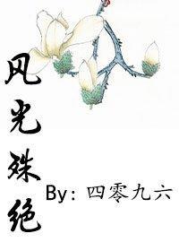 风光殊绝封面