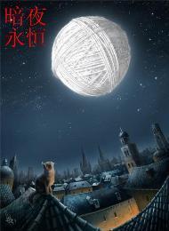 暗夜永恒封面