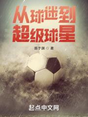 从球迷到超级球星封面