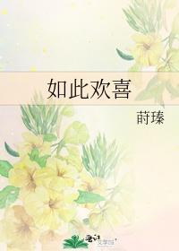 如此欢喜封面