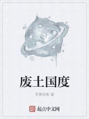 废土国度封面