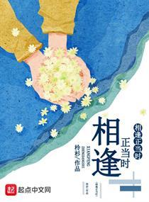 相逢正当时封面