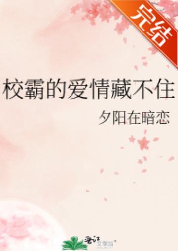 校霸的爱情藏不住封面