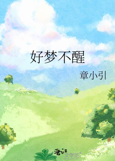 好梦不醒封面