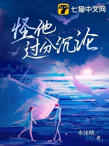 怪他过分沈沦封面