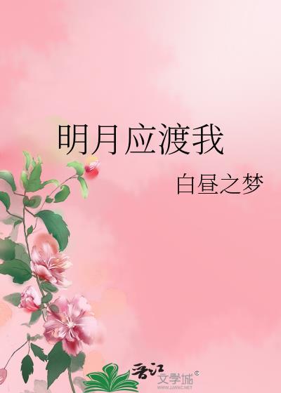 明月应渡我封面