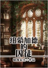 [HP]纽蒙加德的囚徒封面