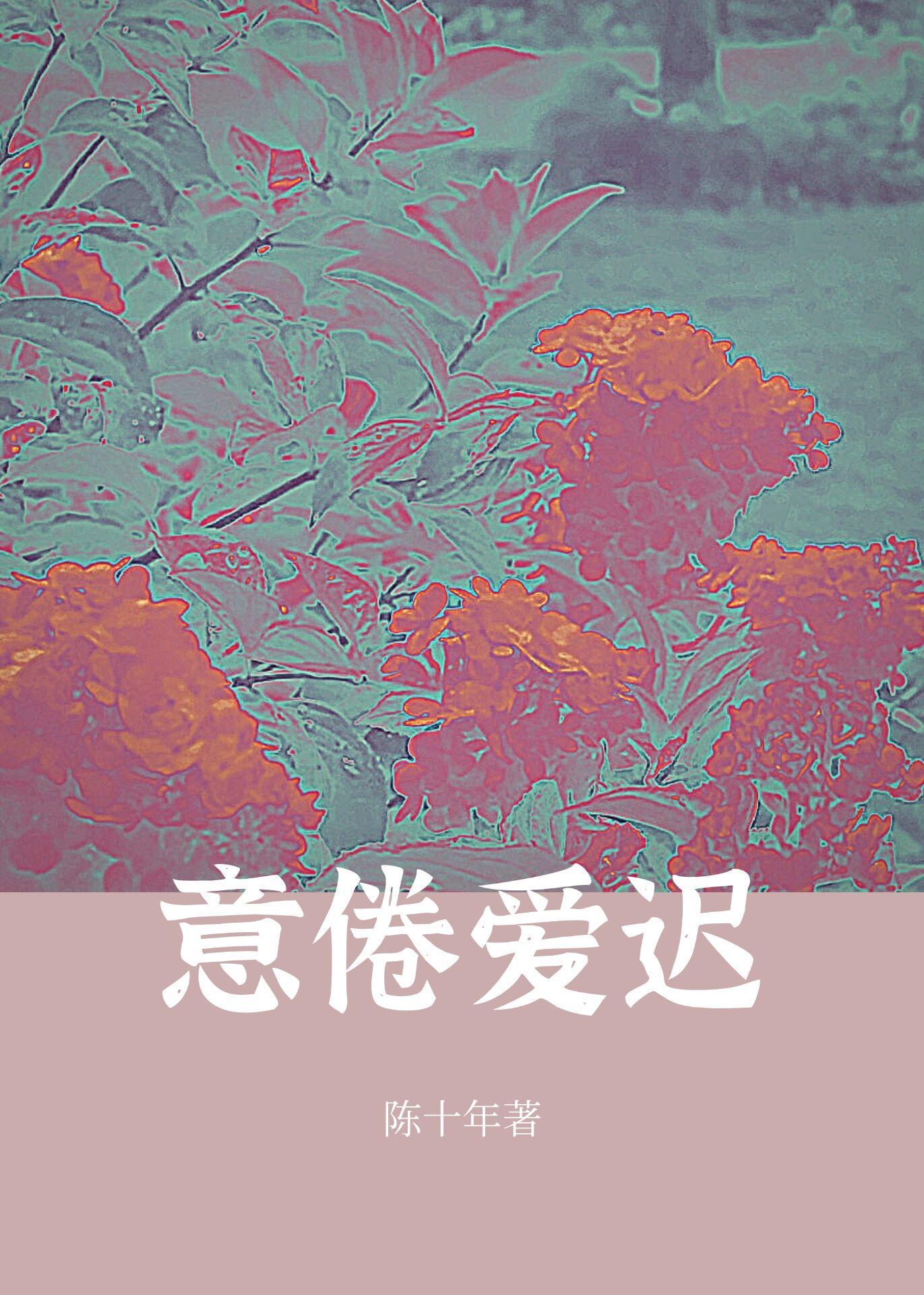 意倦爱迟封面