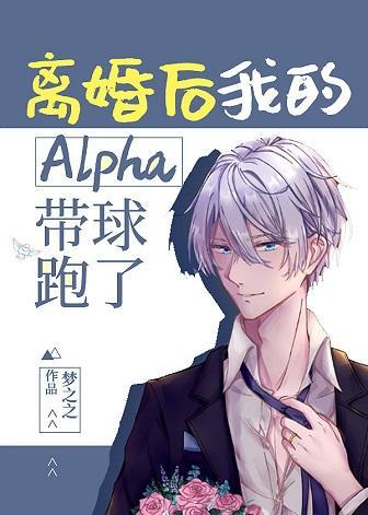 离婚后我的Alpha带球跑了封面