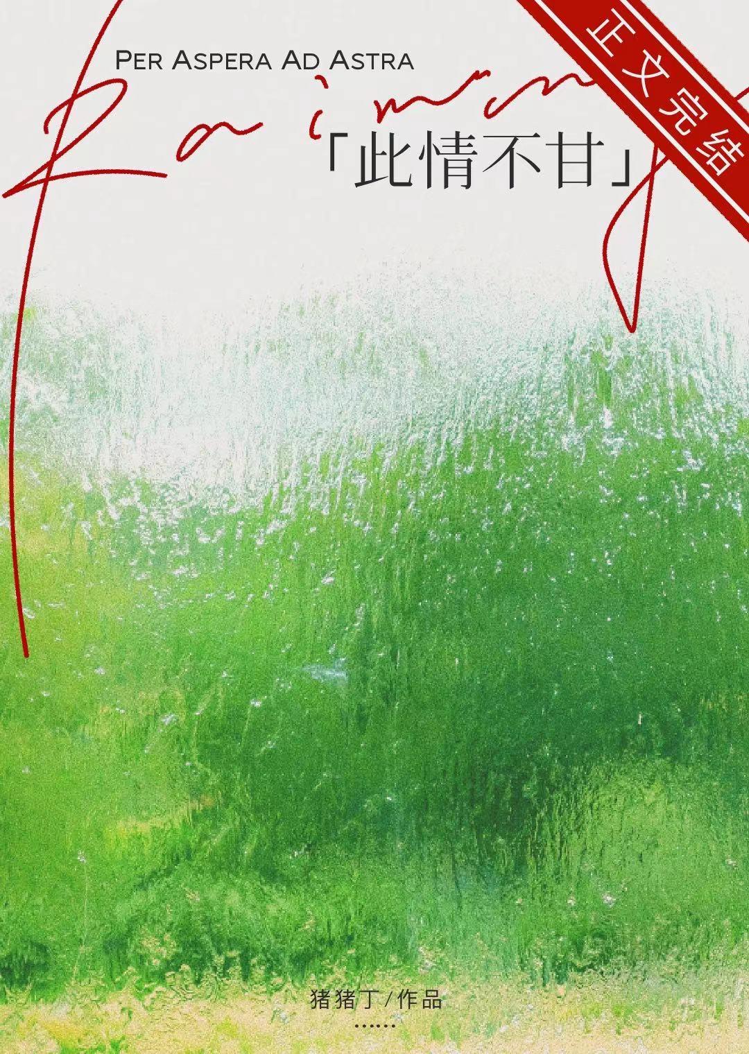 此情不甘封面