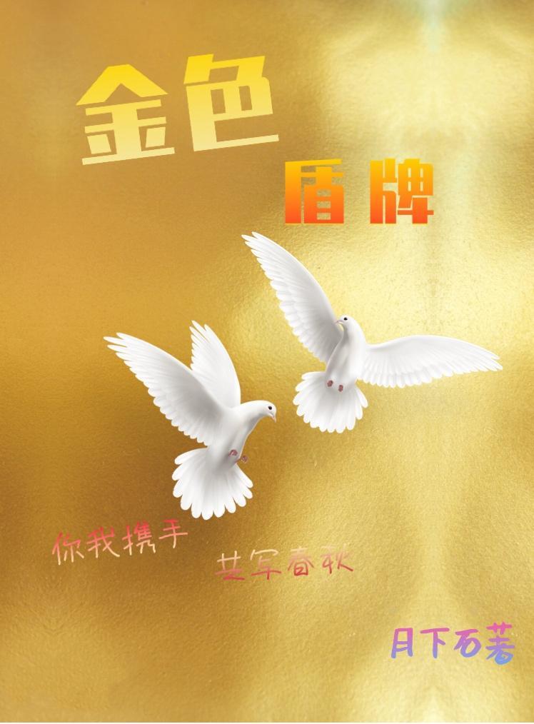金色盾牌封面