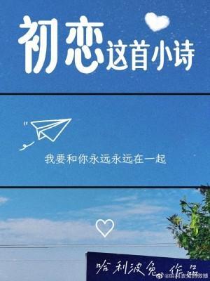 初恋这首小诗封面