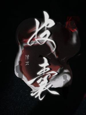 皮囊封面