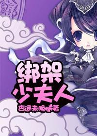 绑架少夫人封面
