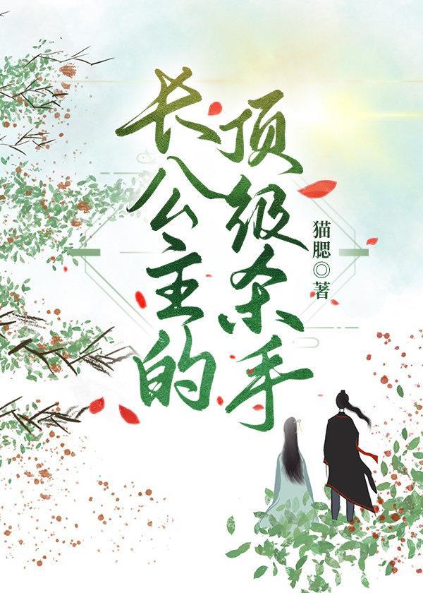 长公主的顶级杀手封面