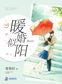 暖婚似阳封面