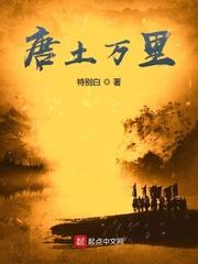 唐土万里封面
