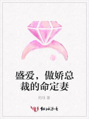 盛爱,傲娇总裁的命定妻封面
