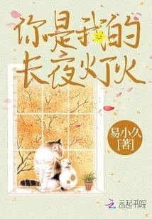 你是我的长夜灯火封面