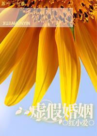 虚假婚姻封面