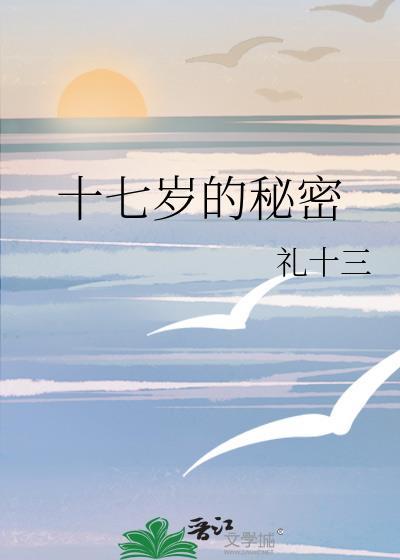 十七岁的秘密封面