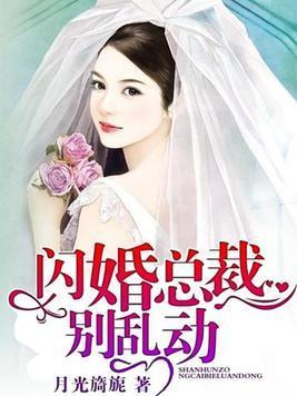 闪婚总裁别乱动封面