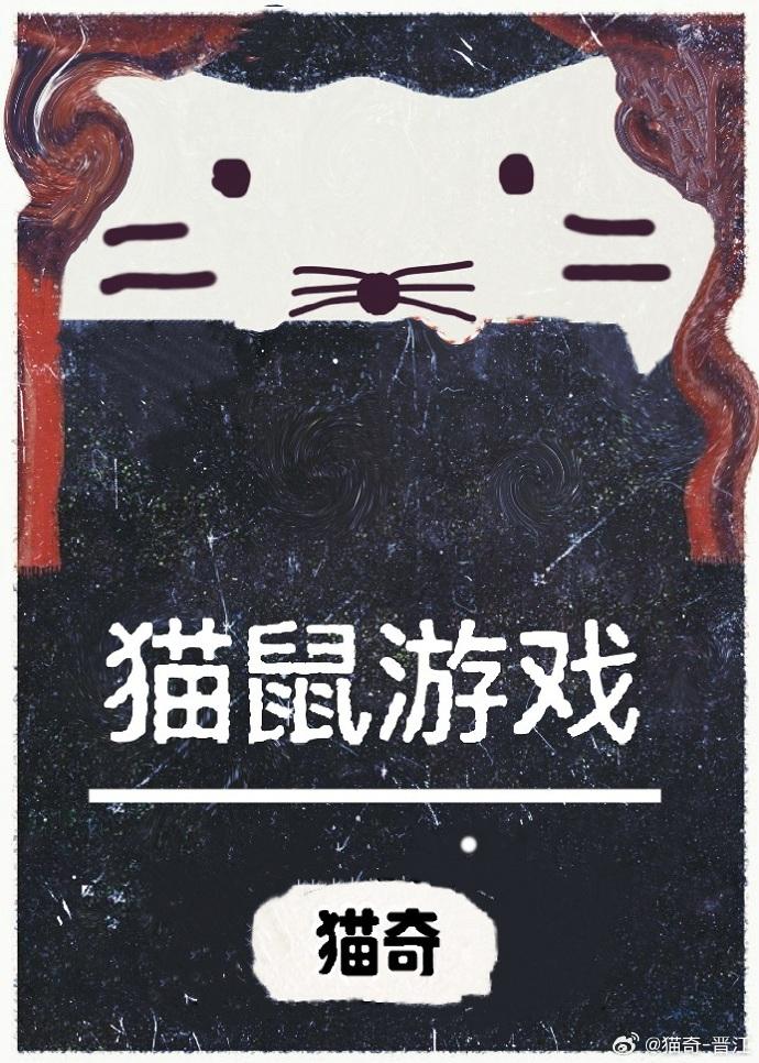 猫鼠游戏封面