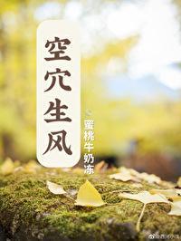 空穴生风封面