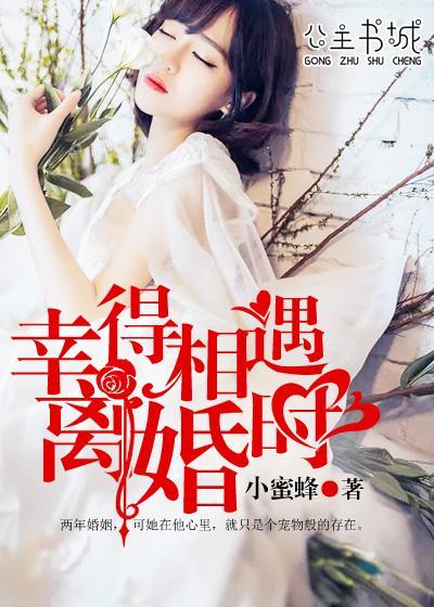 幸得相遇离婚时封面