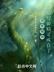 词条编辑：我编写的精灵成真了封面