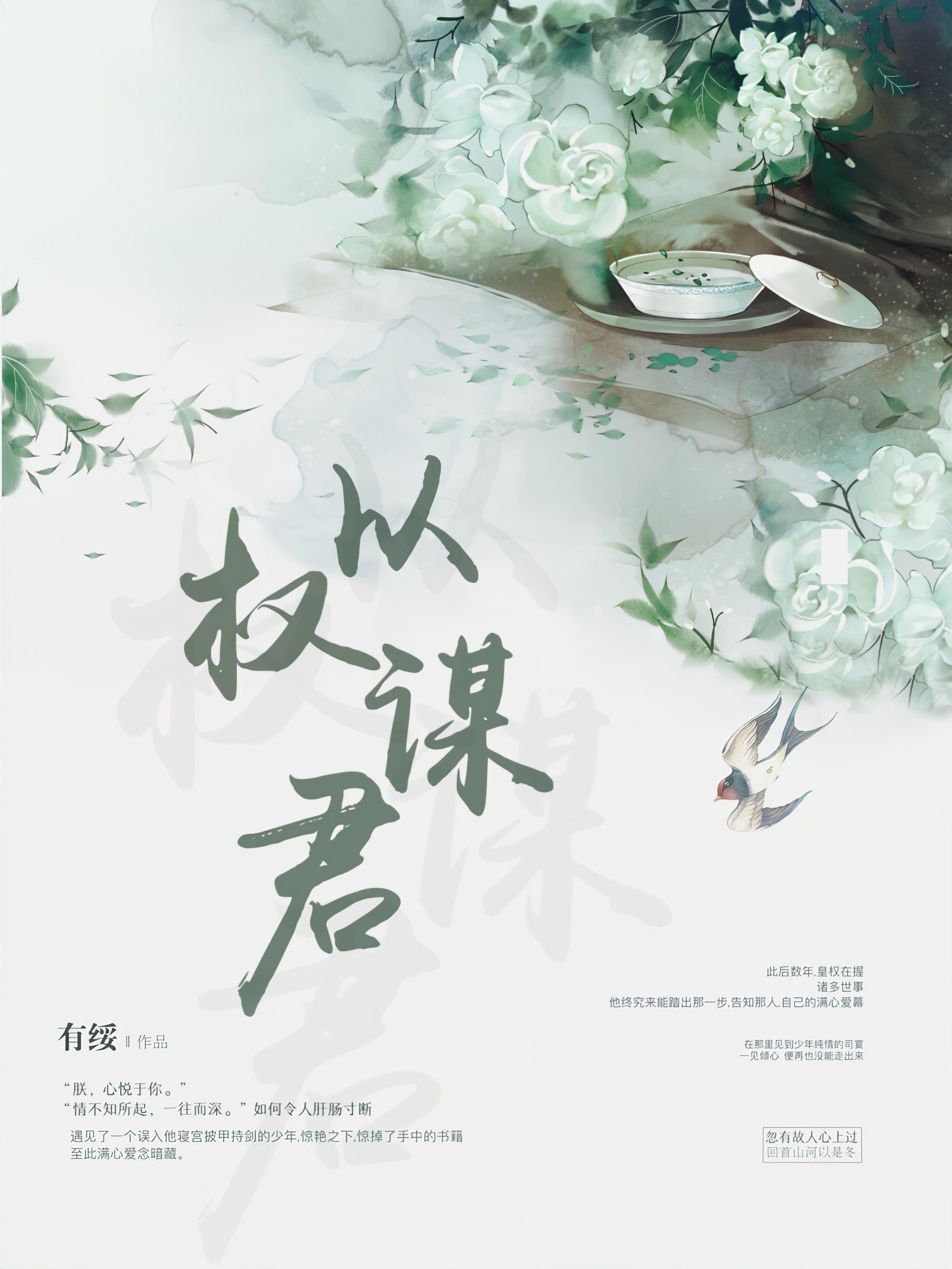 以权谋君封面