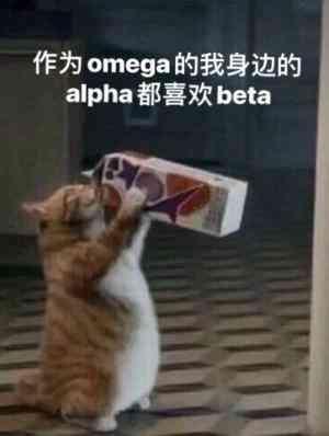 作为o的我身边的a都喜欢b封面