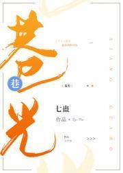 巷光封面
