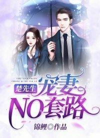 楚先生，宠妻NO套路封面
