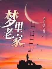 梦裏老家封面