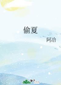 偷夏封面