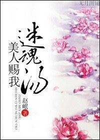 美人赠我迷魂汤封面