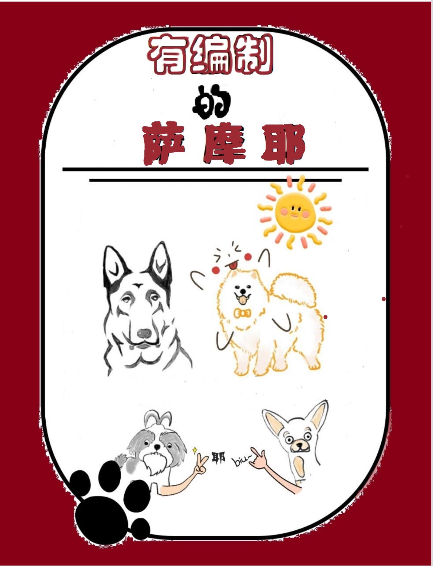 有编制的萨摩耶封面