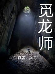 觅龙师封面