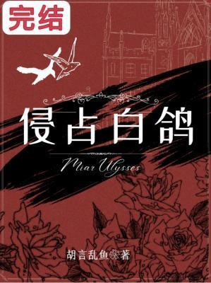 侵占白鸽封面