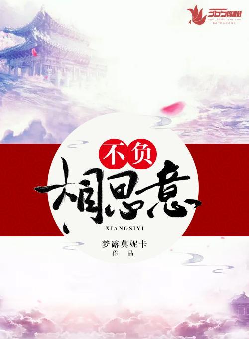 不负相思意封面