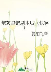 炮灰拿错剧本后(快穿)封面