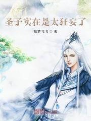 圣子实在是太狂妄了封面