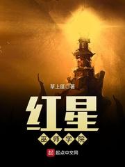 红星巫师学院封面